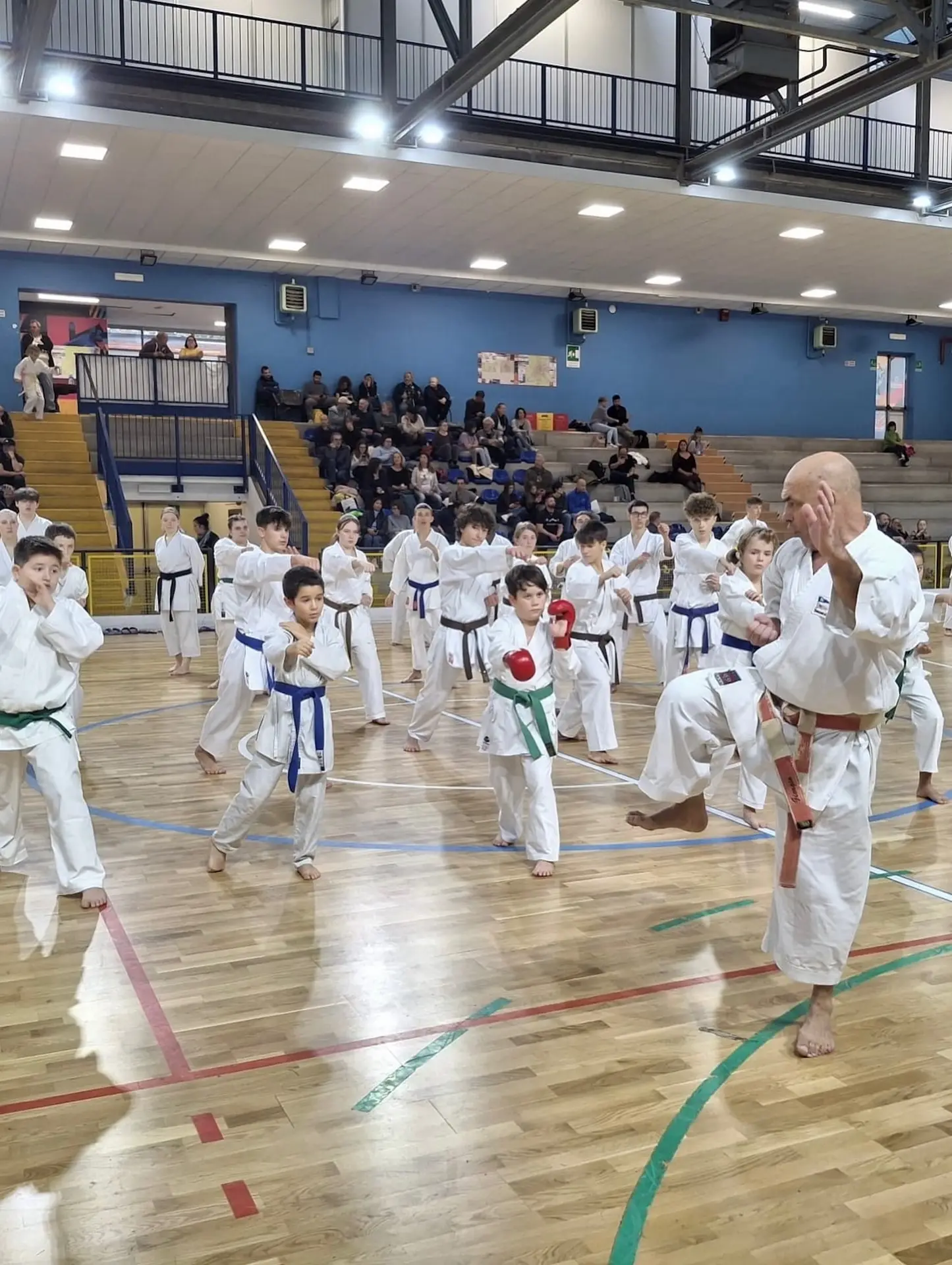 Novembre 2025: La Fiamma Karate protagonista allo stage nazionale di Novara 